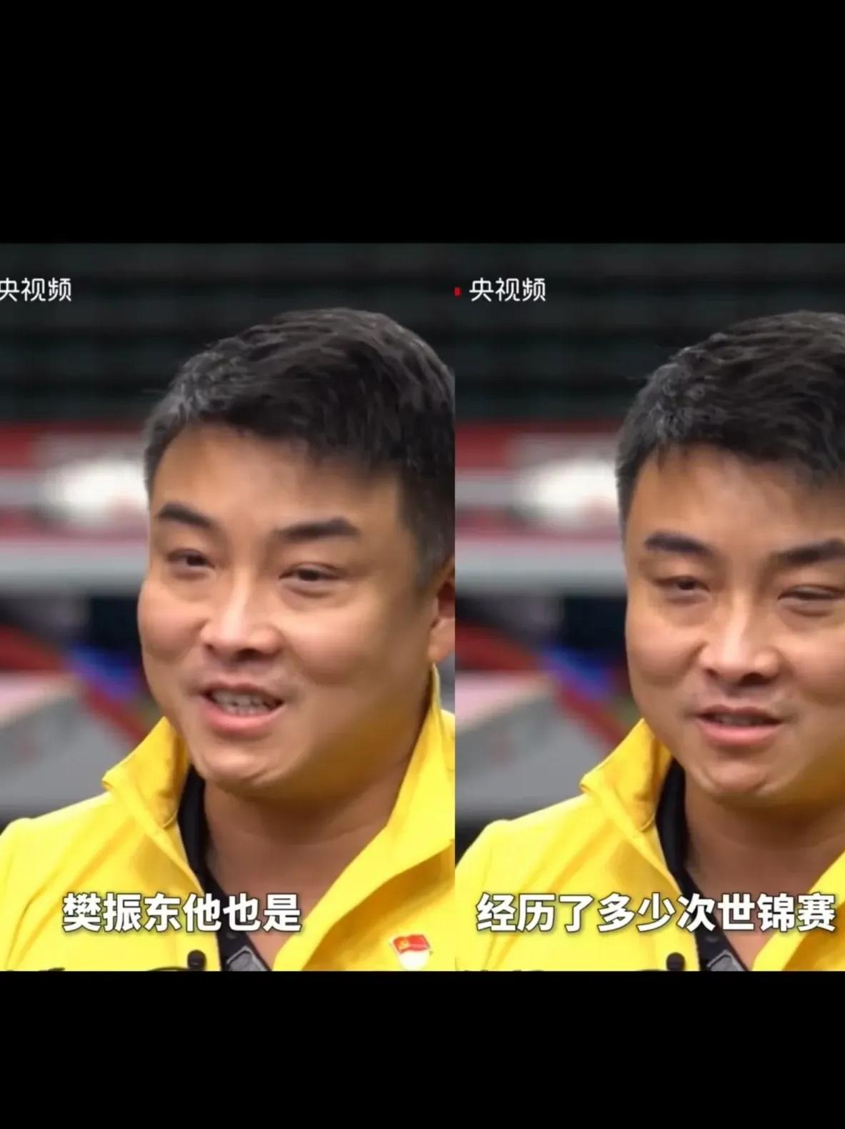 中国乒乓球队逆转瑞典乒乓球队，王皓高光表现的简单介绍