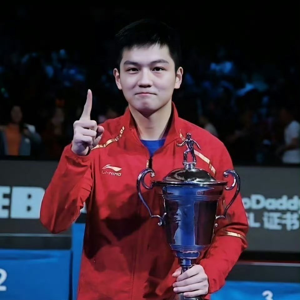 中国乒乓球队逆转瑞典乒乓球队，王皓高光表现的简单介绍