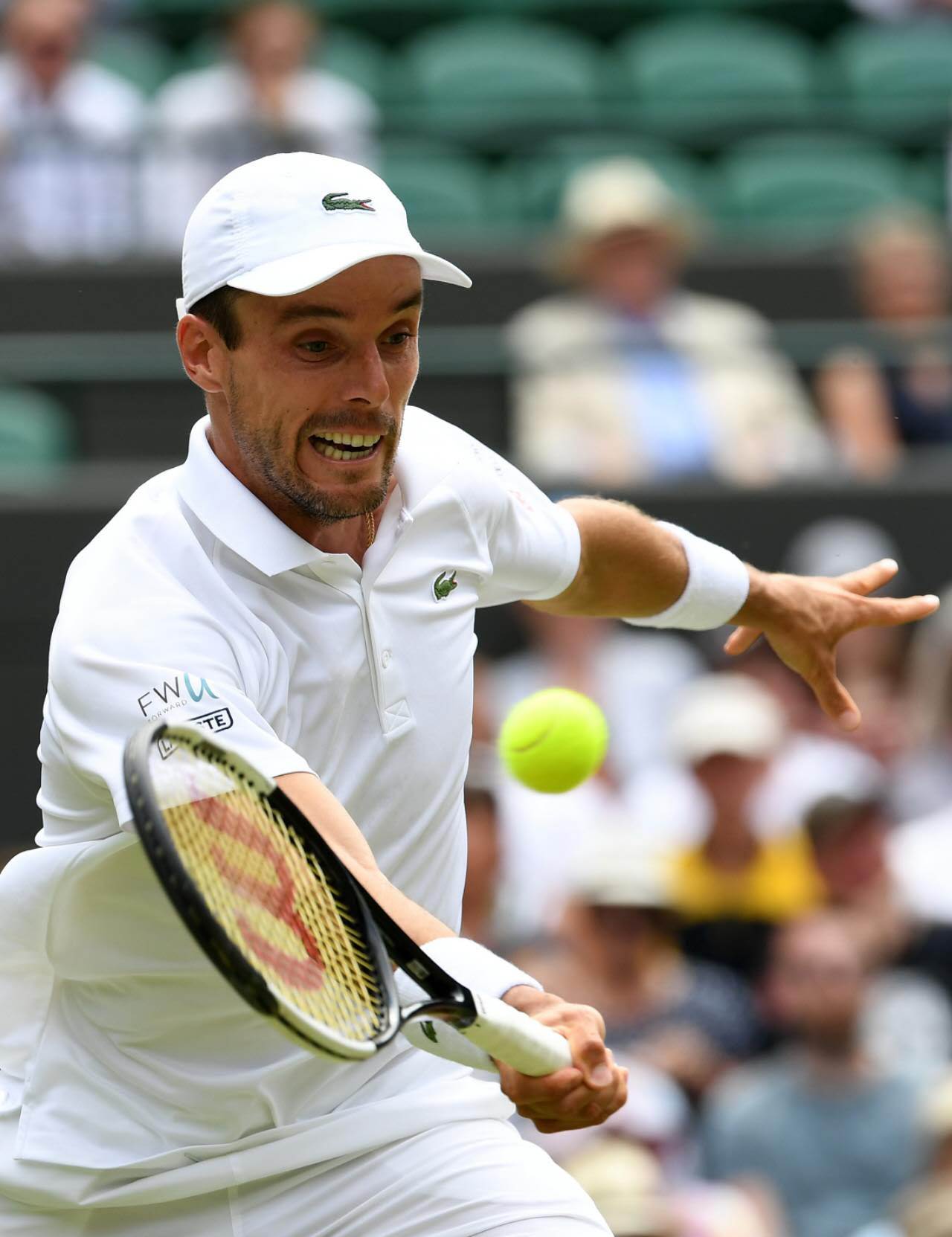 包含西班牙网球队完胜英国网球队，克耶高斯打破历史纪录的词条