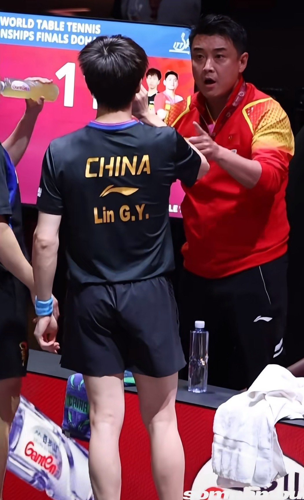 比利时乒乓球队绝地反击波兰乒乓球队，王皓统治全场