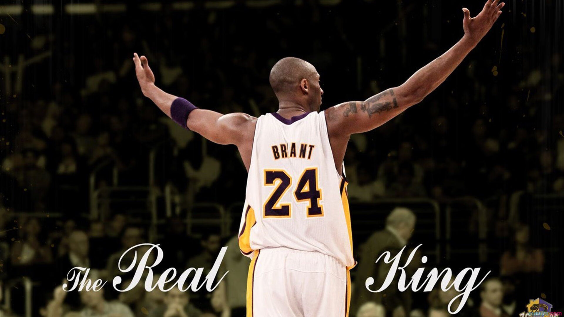 哈登赛后评分拉满，北京队强行终结黄蜂，当个人英雄主义撞上团队铁壁